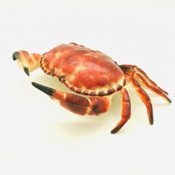 Realistische Gietijzeren Krab Sleutelverstopper