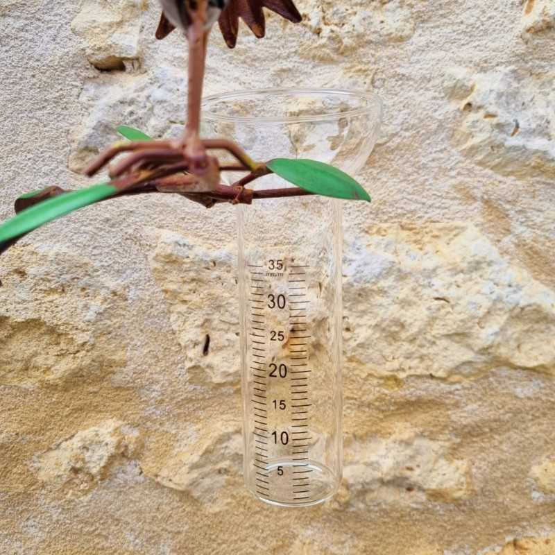 Pluviómetro decorativo cuervos coloridos 127 cm embudo de vidrio graduado decoración de jardín metal 39,90 € LEZARD DU JARDIN