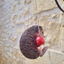 Hangende egel van hars