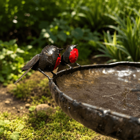 Bain d’oiseaux mangeoire en métal recyclé avec rouges-gorges