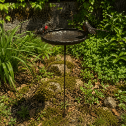 Bain d’oiseaux mangeoire en métal recyclé avec rouges-gorges